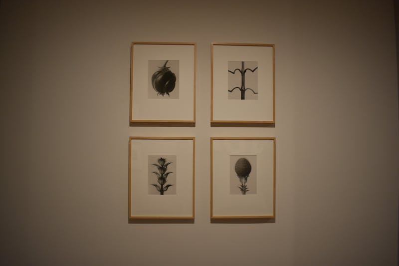 桑山忠明: IN PURSUIT OF LUCIDITY 桑山忠明：The Shape of