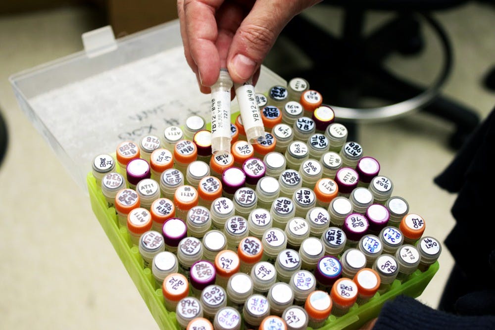 Melissa Emery Thompson holds out frozen chimpanzee urine samples in her lab on Wednesday March 1, 2017.