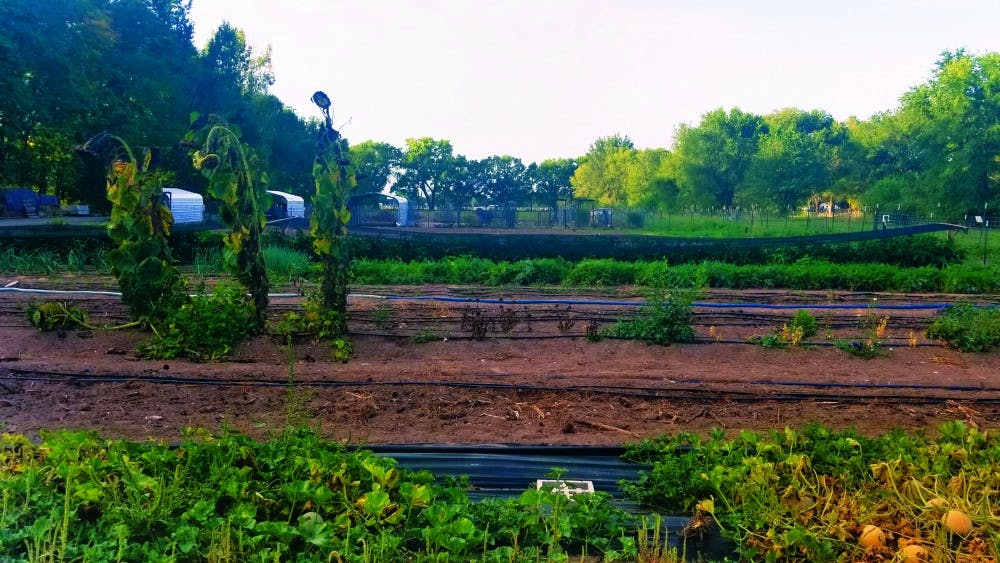 Ironwood Farms 2.jpg