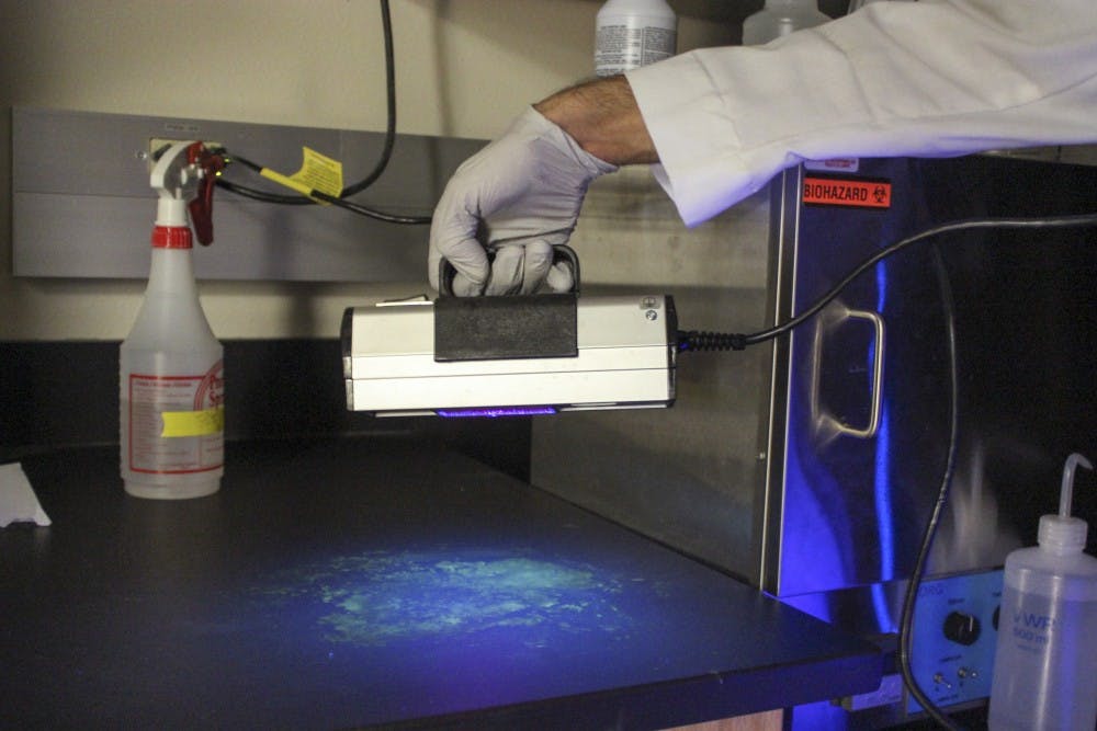Harry Pappas holds a black light over his laboratory experiment at the Centennial Engineering Lab on March 12.  Pappas and a team of researchers are finding a new method of combating bacteria by creating a substance that keeps surfaces clean for hours. 