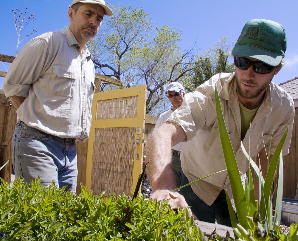 	Denis Doyon, left, Alberto Lopez, center, and Jonathan Hawes inspect a living marsh water treatment tub on April 10. They originally wanted to filter gray water using plants and utilizing their natural processes, but the tub began to stink, so they filled it with pebbles. 