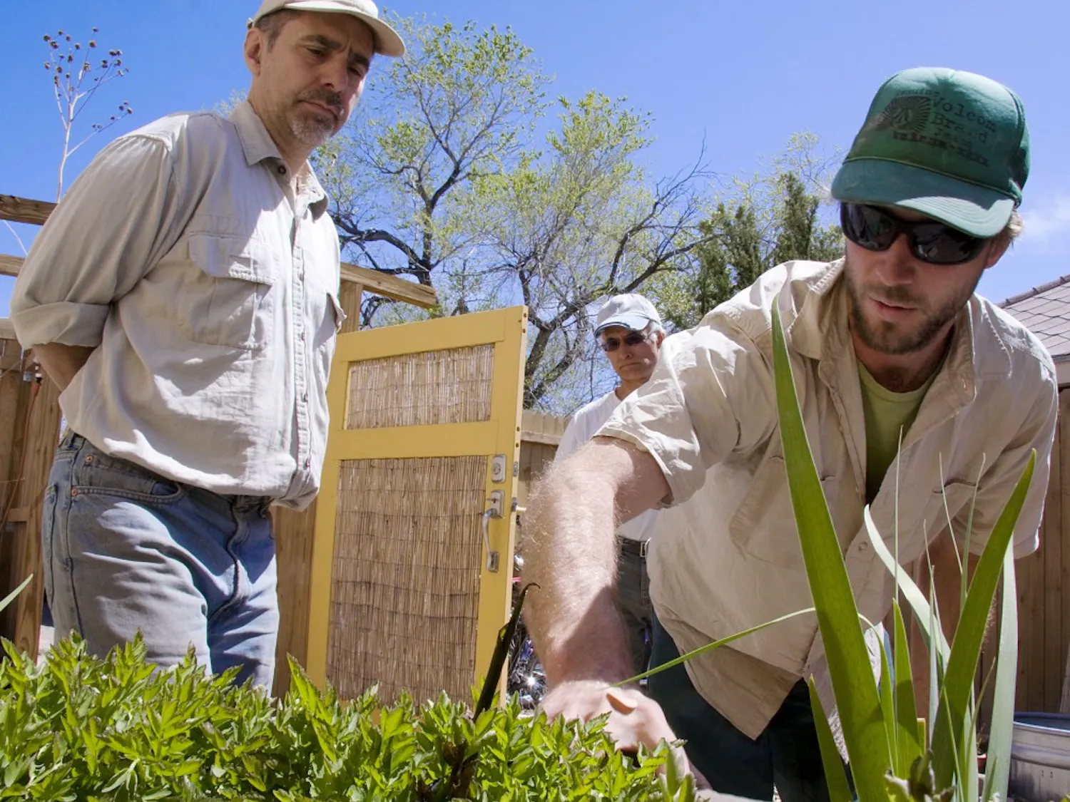 Denis Doyon, left, Alberto Lopez, center, and Jonathan Hawes inspect a living marsh water treatment tub on April 10. They originally wanted to filter gray water using plants and utilizing their natural processes, but the tub began to stink, so they filled it with pebbles.
