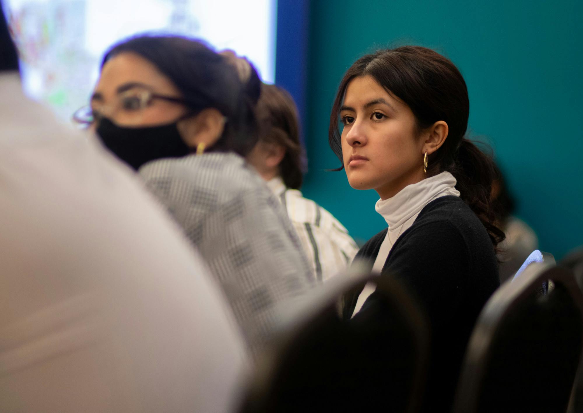 looking at presentation.jpg