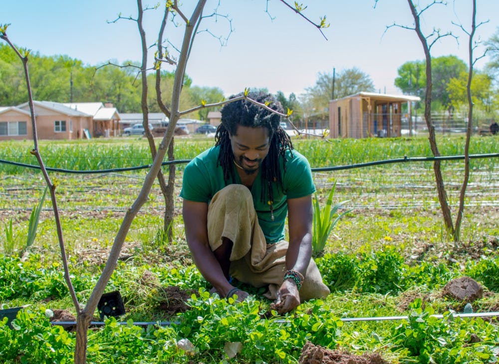 Photo Story: Chispas Farm