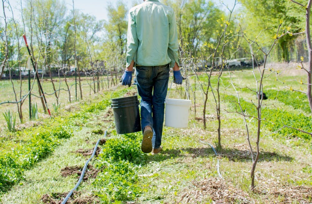 Photo Story: Chispas Farm