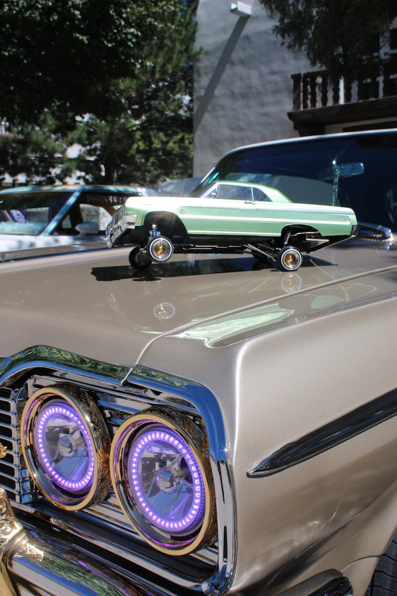 Lobos y Lowriders: Cultura y comunidad on campus - The Daily Lobo