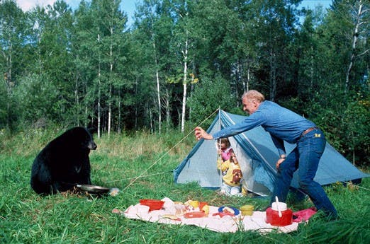 Cienega, Sulphur and Doc Long picnic areas are closed because of increased black bear activity. Using pepper spray, or even pretending to do so, can deter bears, according to the North American Bear Center. 