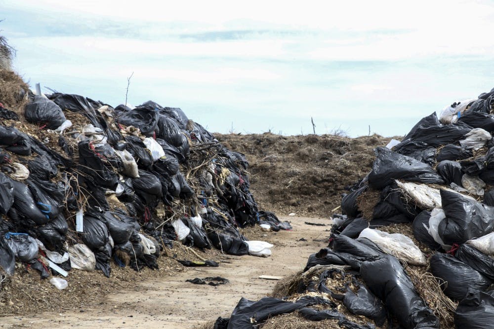 Piles of plastic bags line a section in the Southwest Landfill.