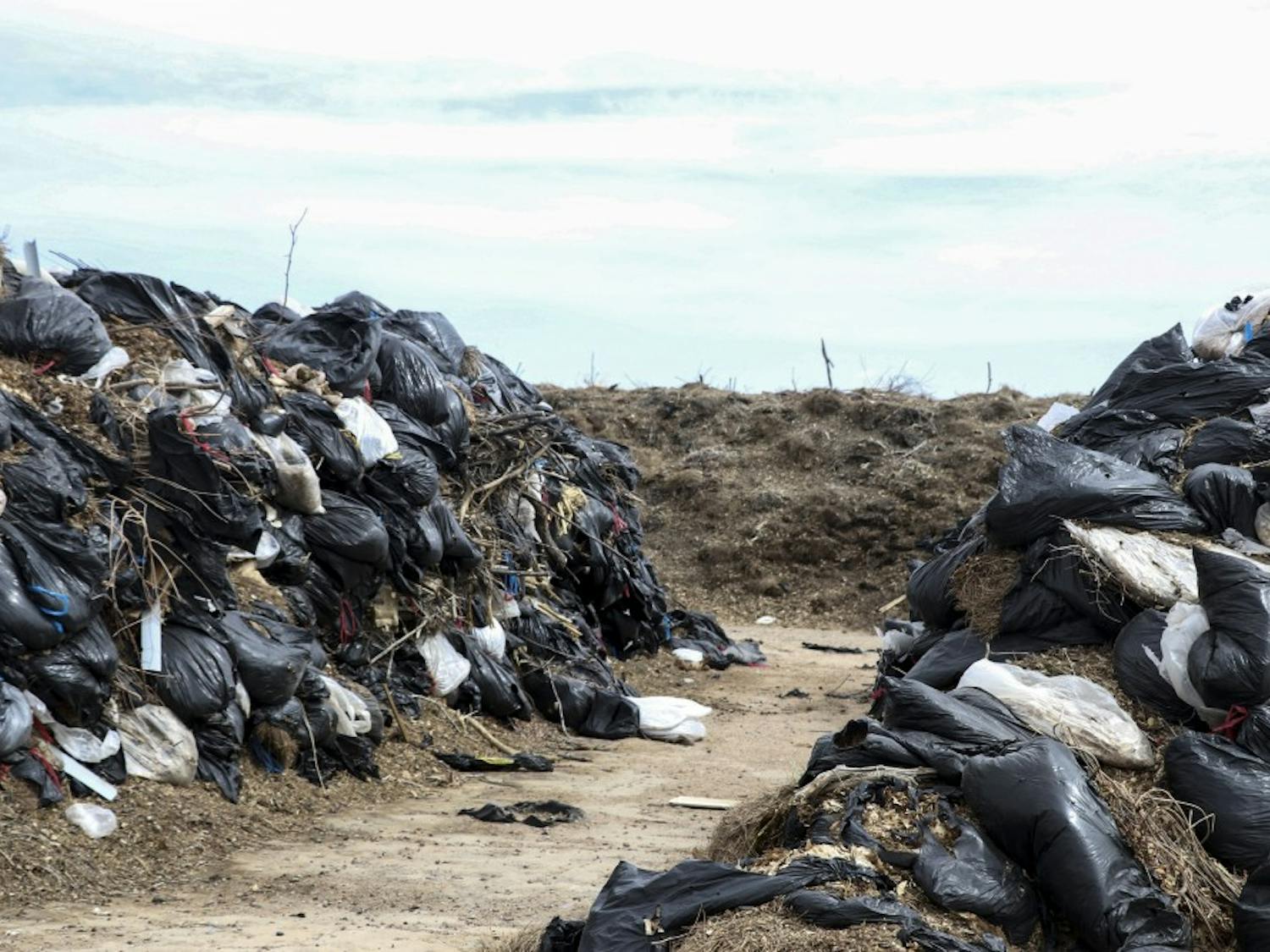 Piles of plastic bags line a section in the Southwest Landfill.