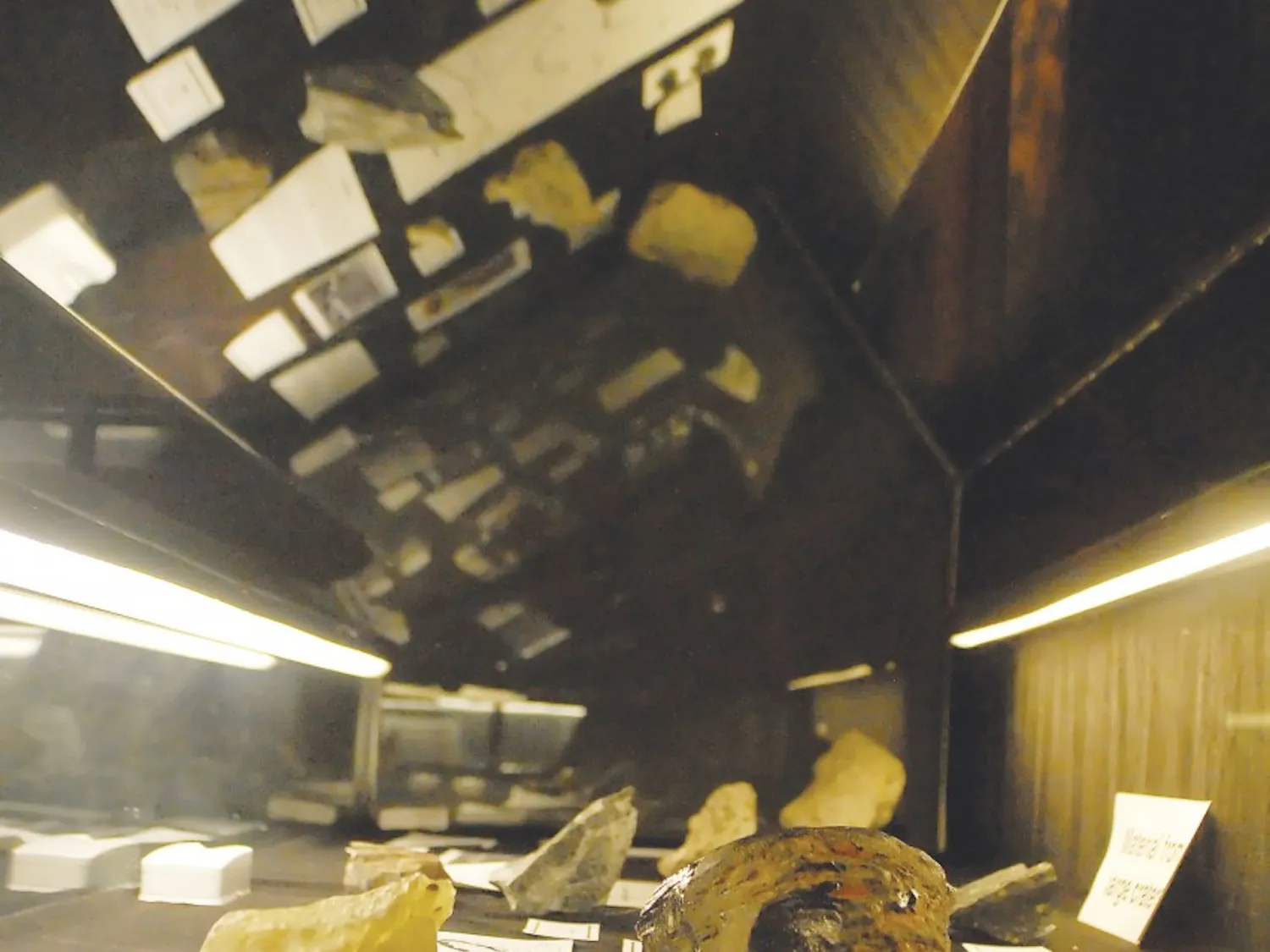 UNM's Meteorite Museum and Collection showcases more than 600 meteorites and is home to a half-ton meteorite.