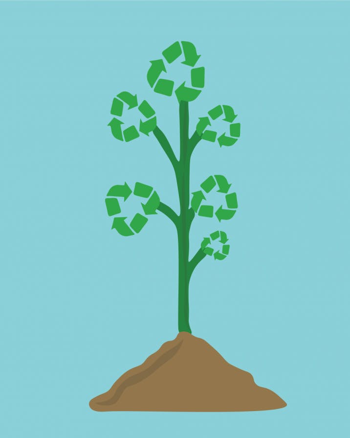 Growing Sustainability