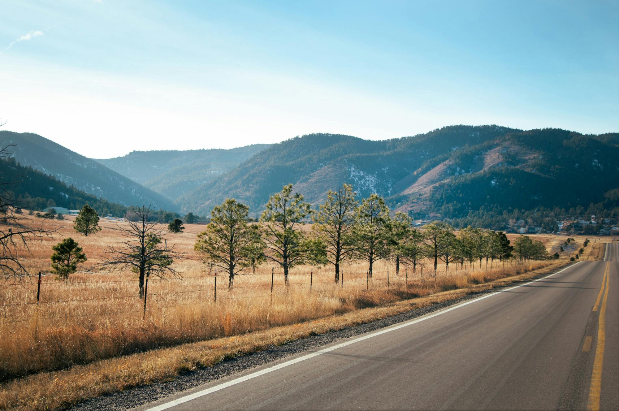 PHOTO STORY: Nature Photos of The Week