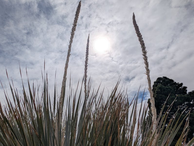 Earth Month: NM environmental leaders talk sustainability