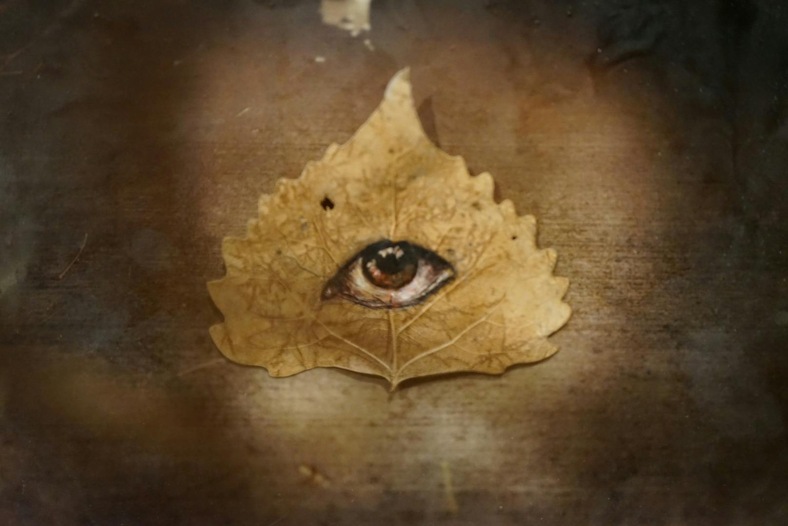 Hindsight Insight 4.0