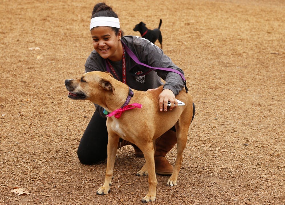 Ariane Crummer plays with her dog Lucy at Los Altos&nbsp;park Friday afternoon. Crummer often takes Lucy with her to photo assignments around Albuquerque.