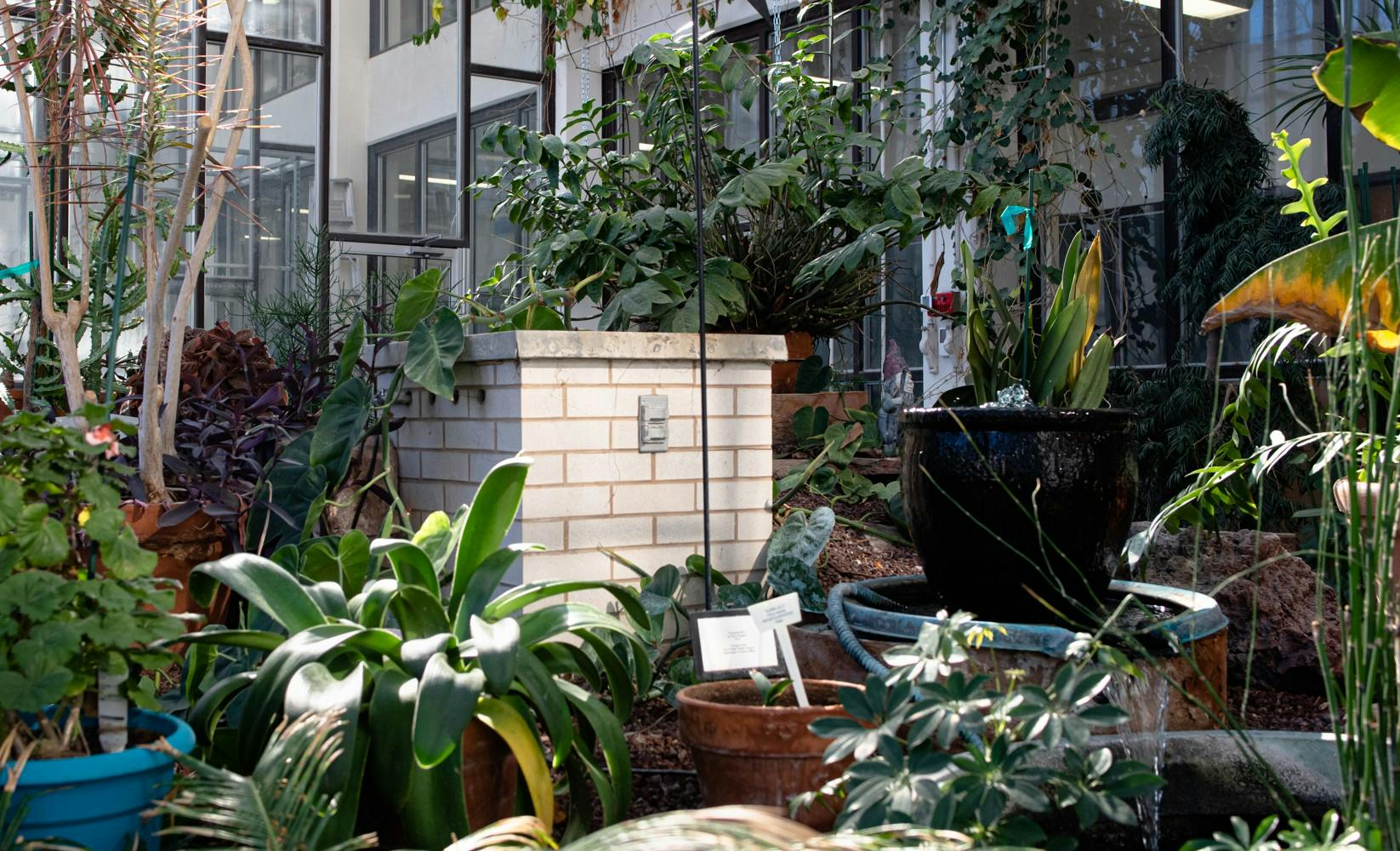 GALLERY: UNM Greenhouse