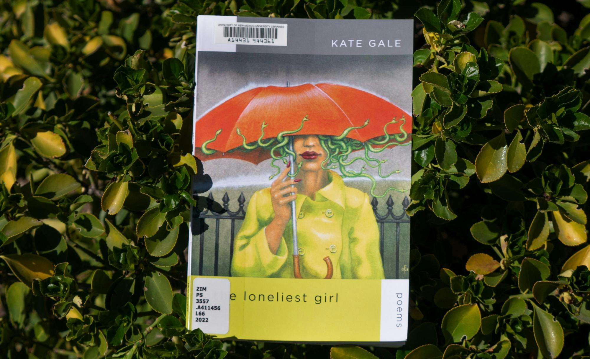 Poetry collection.jpg