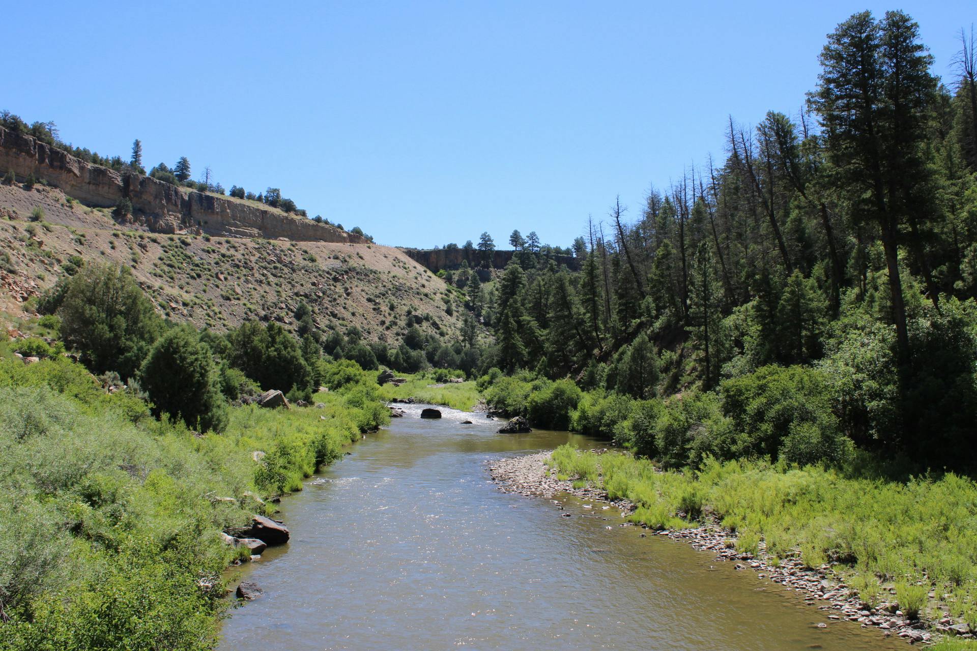 PHOTO STORY: A summer weekend at Heron Lake State Park