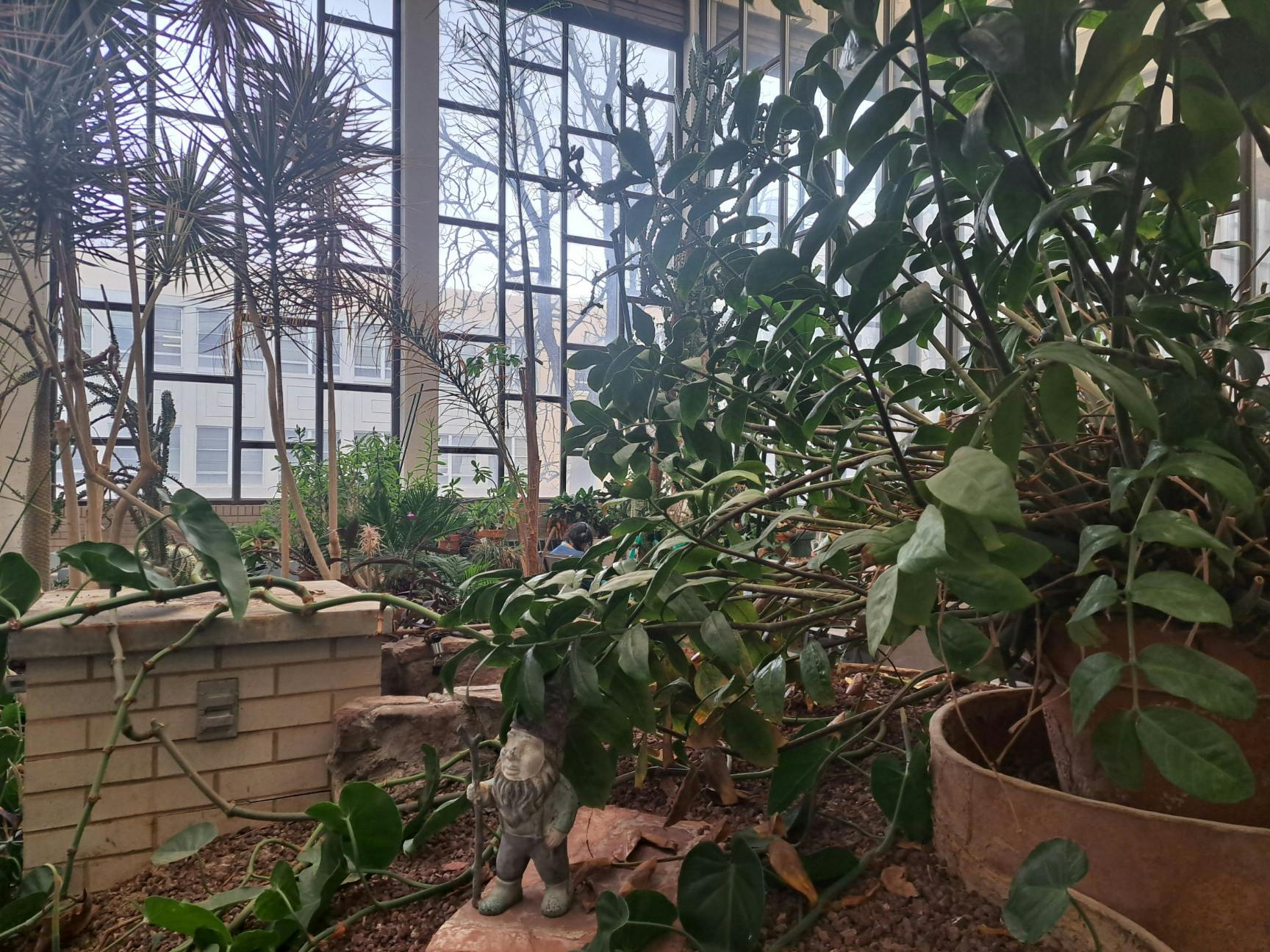 PHOTO STORY: OPINION: UNM offers opportunities to experience nature throughout campus