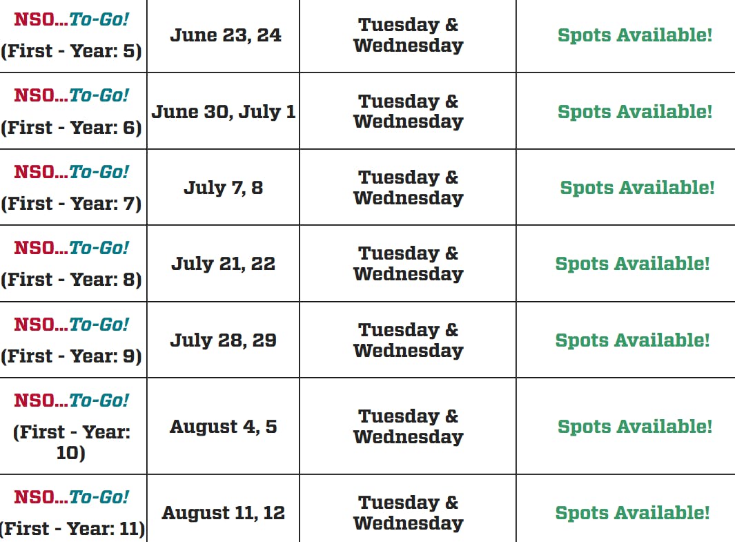 NSO to go.png