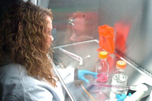 Jamie Reed works with cell cultures at the Mechanical Engineering building Nov. 12. More research is now done in the Centennial Engineering Center, which opened earlier this semester. 