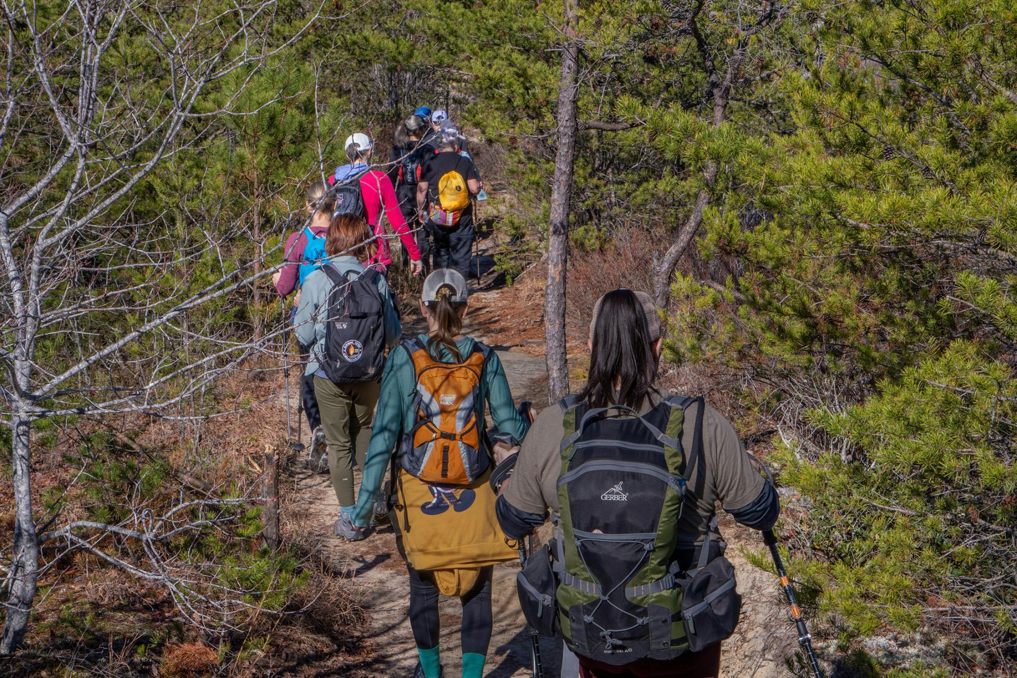 Breast cancer survivors hiking down a descent in the trail.