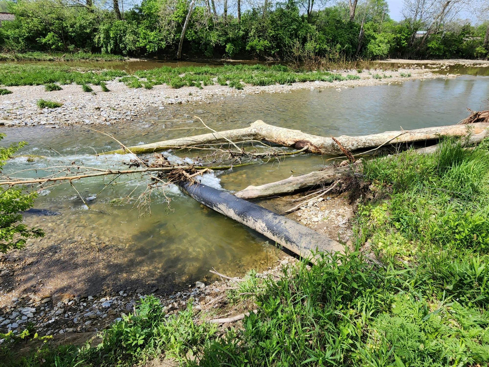 The exposed oil pipeline crossing Seven Mile Creek, where it could be damaged by hazards such as tree limbs. Photo provided by Tim McLelland