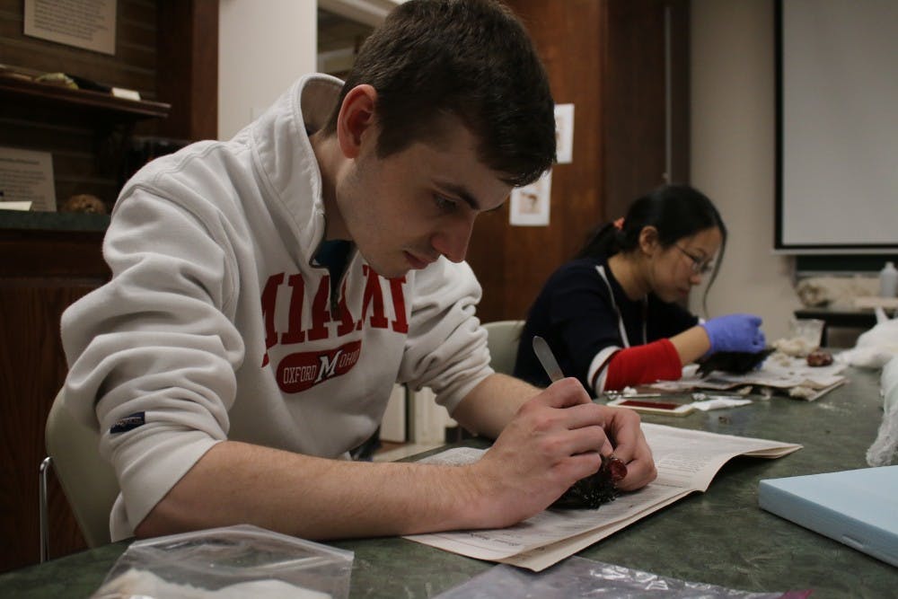 Senior Kevin Vestal works on a starling during a taxidermy class in the Hefner Museum in Upham Hall.