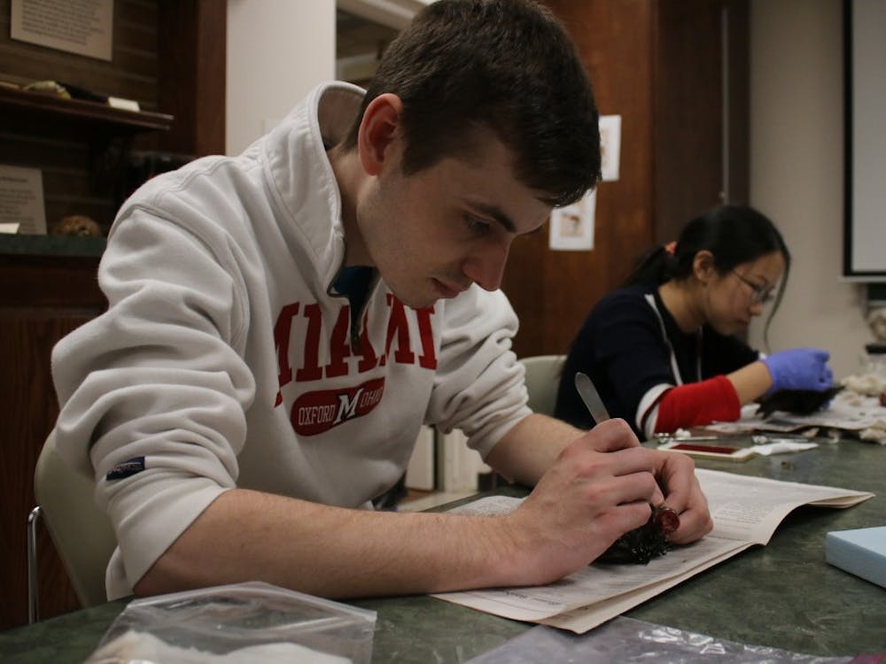 Senior Kevin Vestal works on a starling during a taxidermy class in the Hefner Museum in Upham Hall.