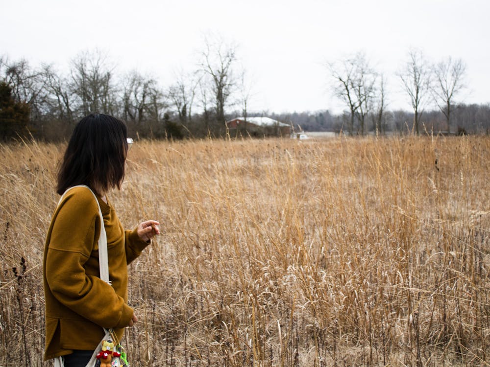 Ph.D. candidate Emily Galloway gazes over the restored prairie where she conducts her research