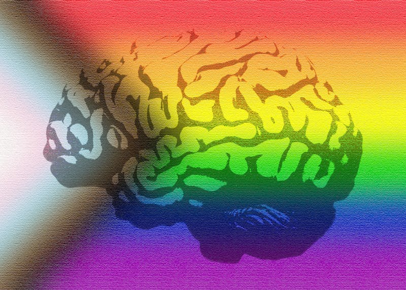 The Trevor Project survey LGBTQ+ mental health at Miami The Miami