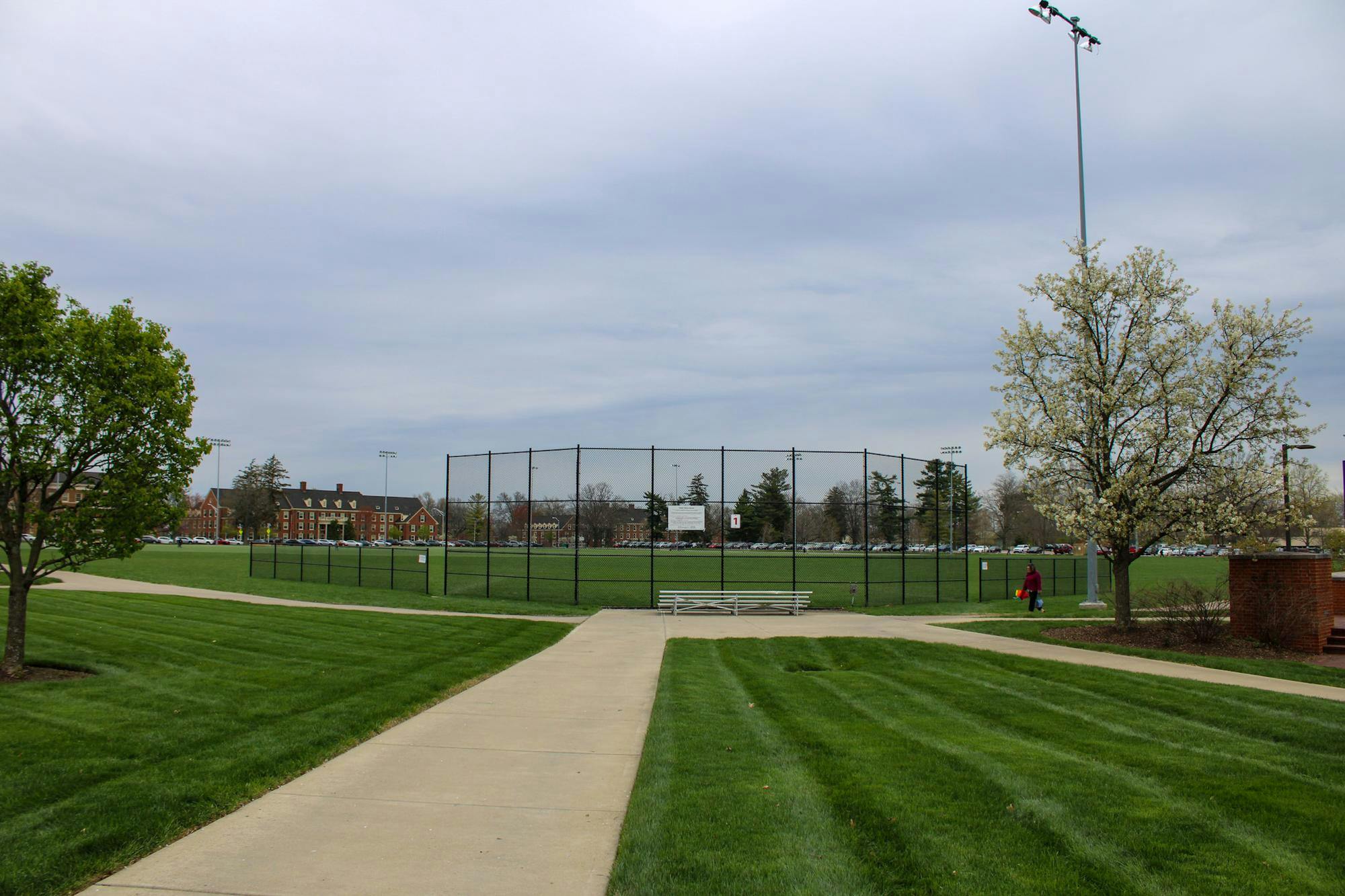 Students uitlize Cook Field for numerous things, such as intramural sports, events and general recreational use.
