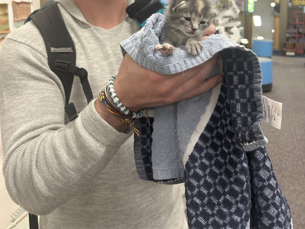 Teddy Johnson cheesing with an adorable kitten.