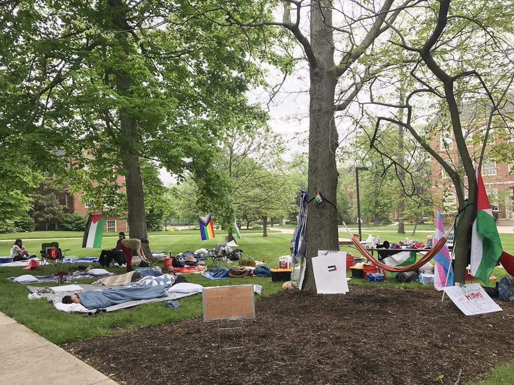 Protesters camped in Academic Quad during May 2024 to show their support for Palestine