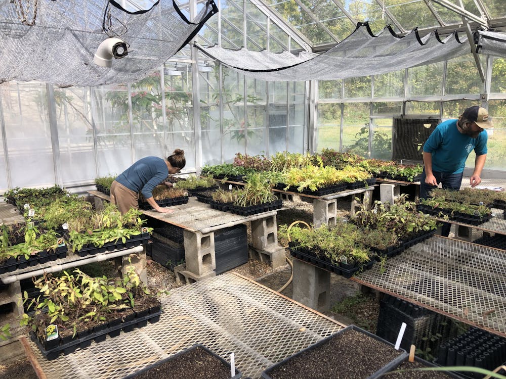<p>The pollinator plants that will beautify Ernst Nature Theatre will be housed in a Miami greenhouse. Photo provided by Daniel Accrocco.</p>