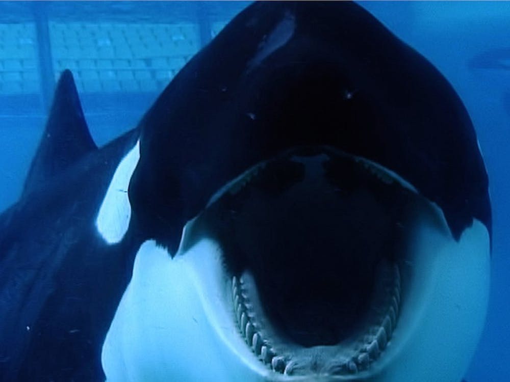 "Blackfish" will probably kill your V-Day mood, though it will educate you on SeaWorld's treatment of its whales.