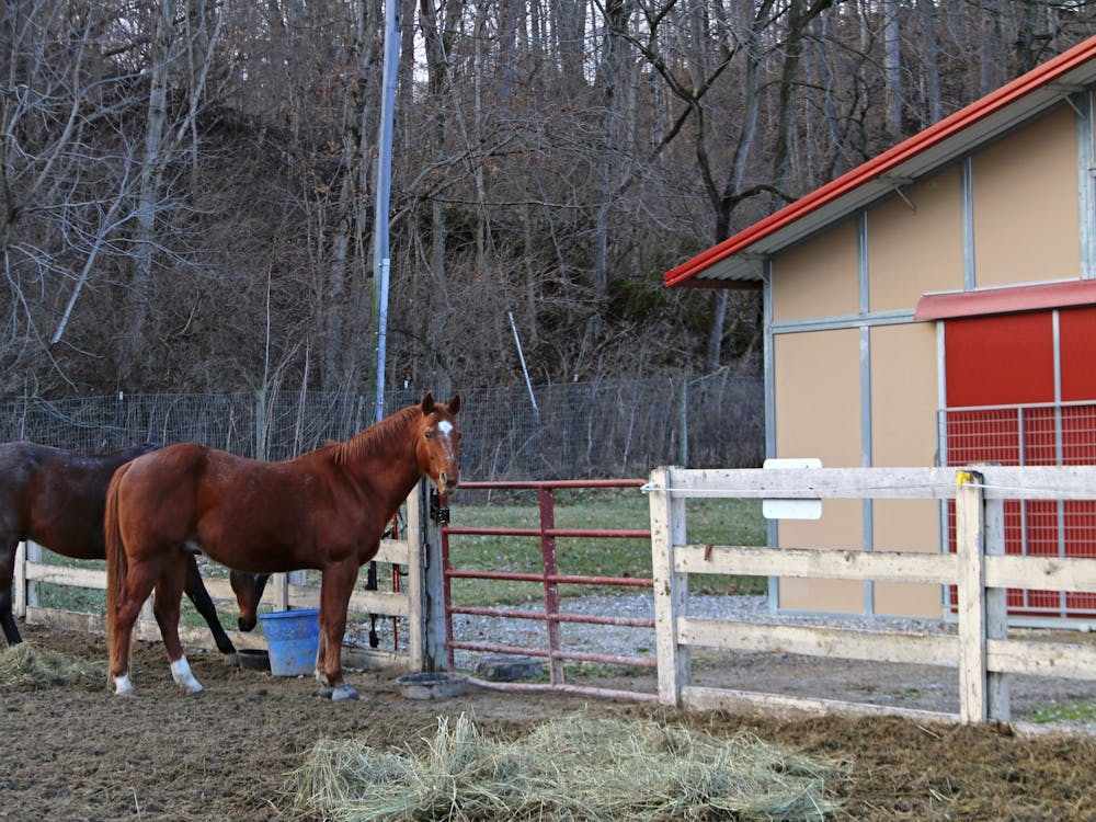 Construction on a new indoor equestrian center is set to be completed by the end of 2020. 