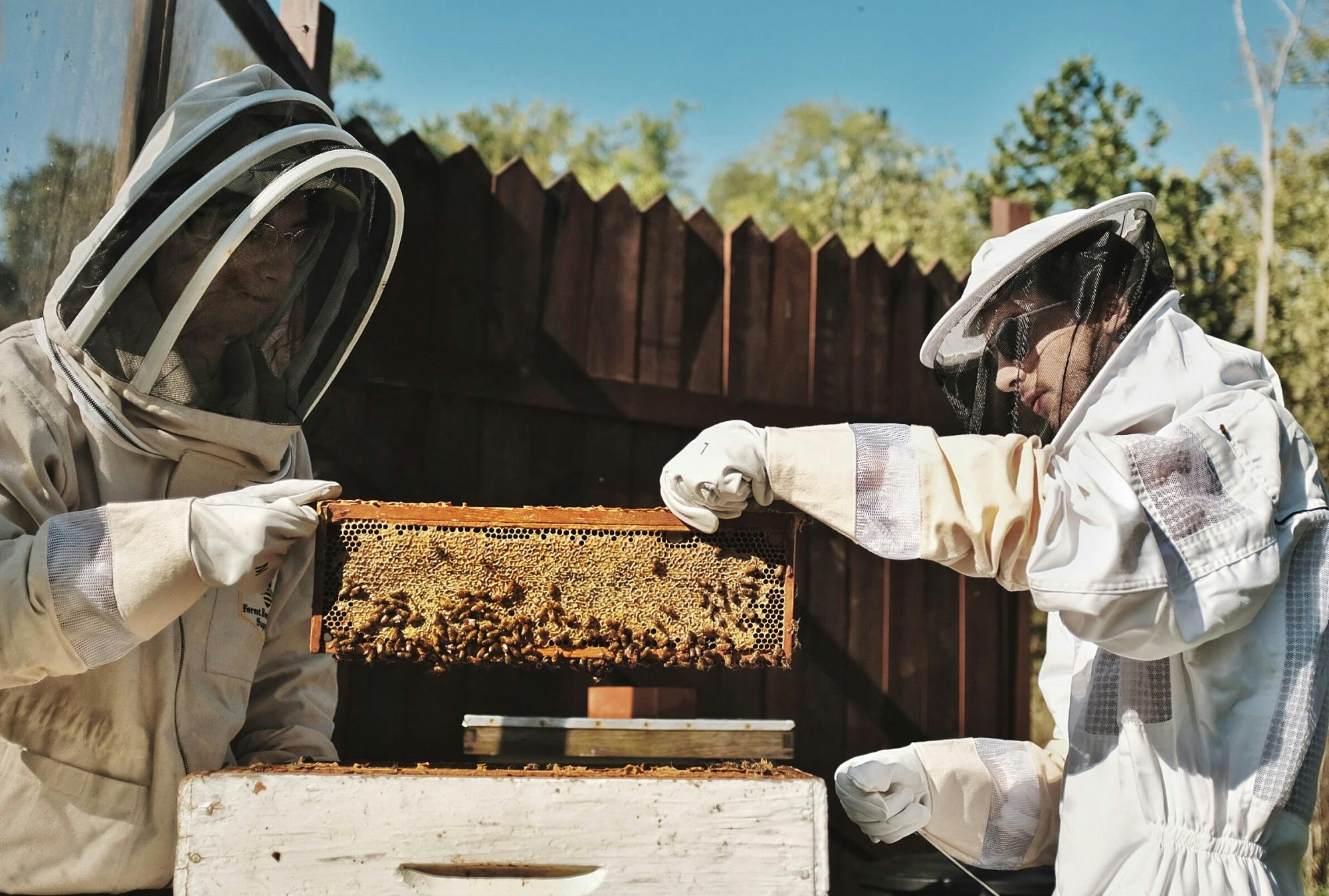 &nbsp;Photos by Kenneth DeCrosta | The Miami Student&nbsp;