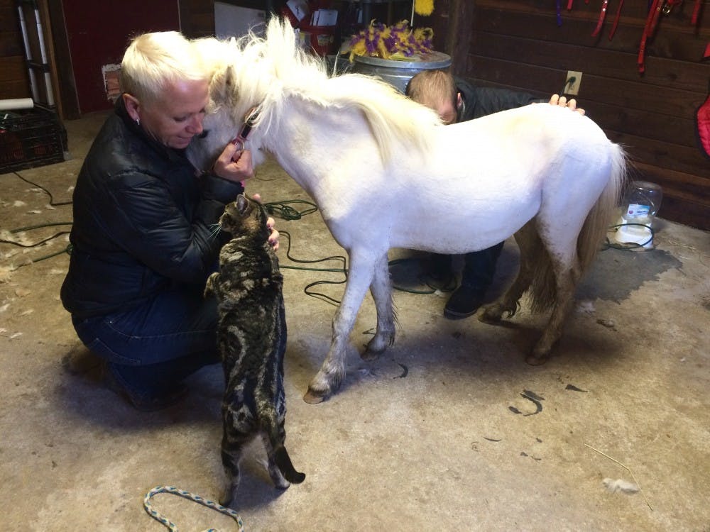 Lisa Moad with one of her beloved minis | Photo by Mary Schrott