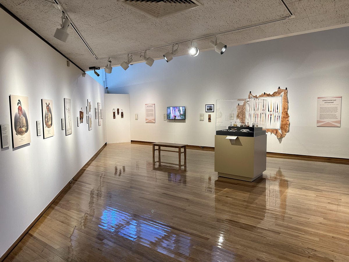 The painted robes are on display in the Art Museum until June 8﻿