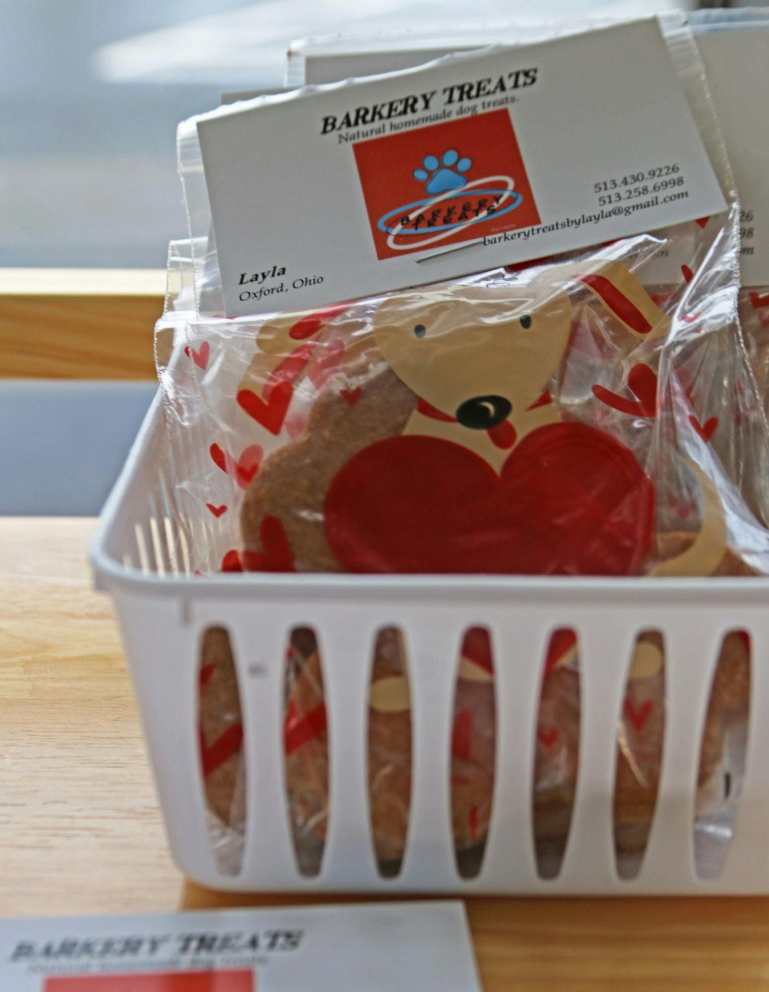 Spring Street Treats caters to human and canine customers, offering ice cream, dog treats and more.