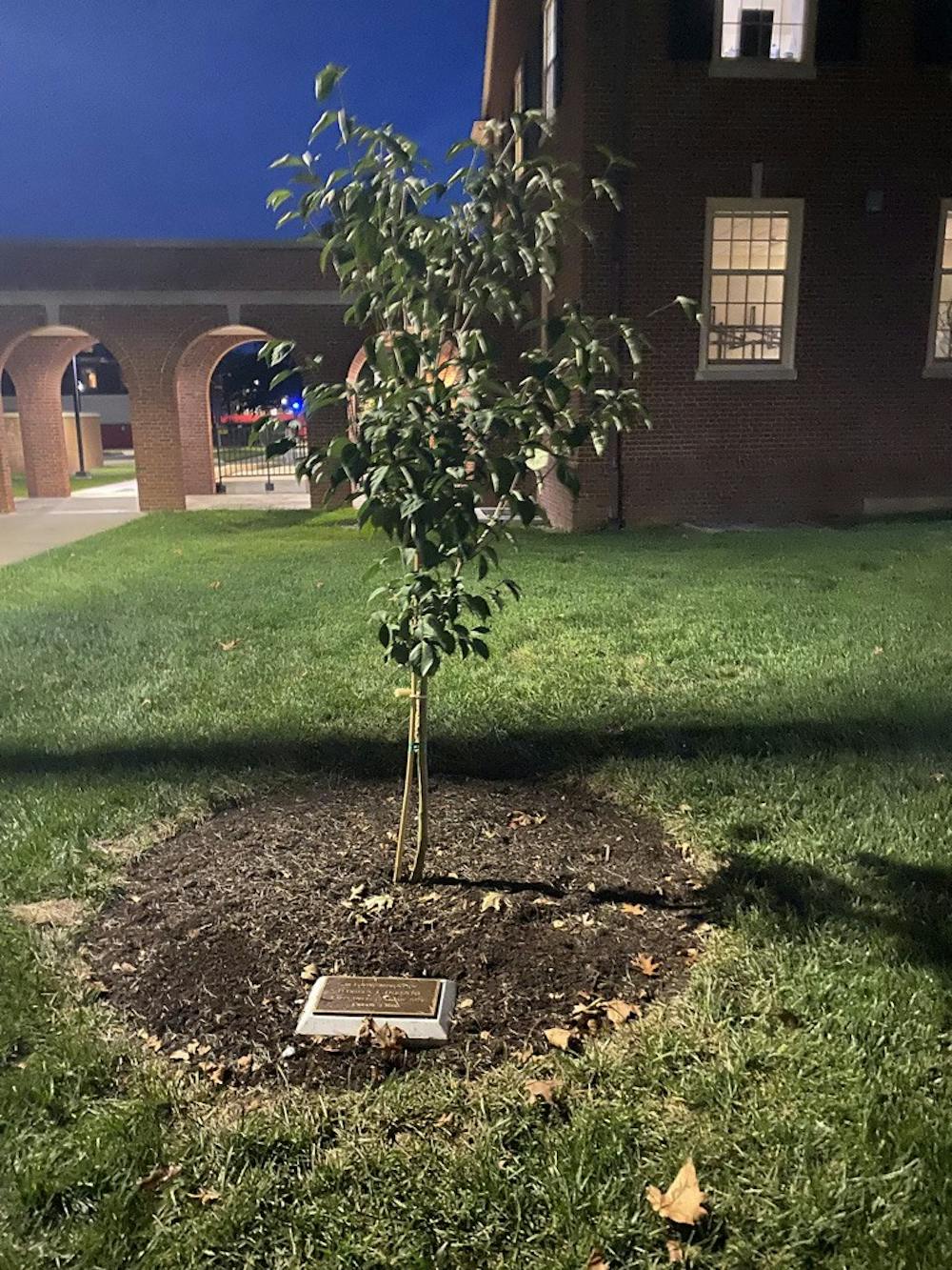 <p>Kappa Delta planted a tree and held a walk in honor of Daniela DiSanto, their sister who passed away over the summer.</p>