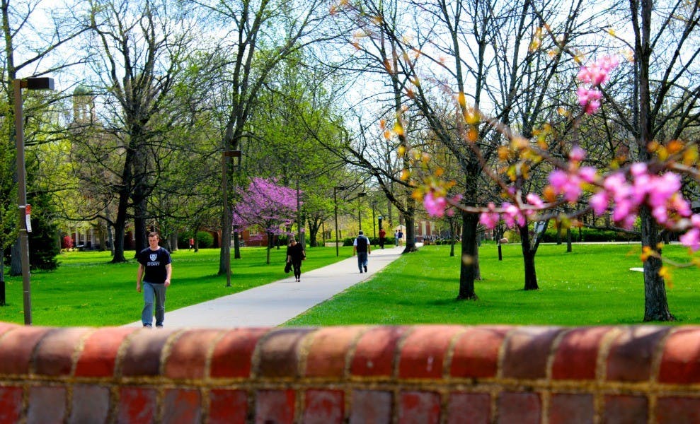 Photo by Connor Moriarty