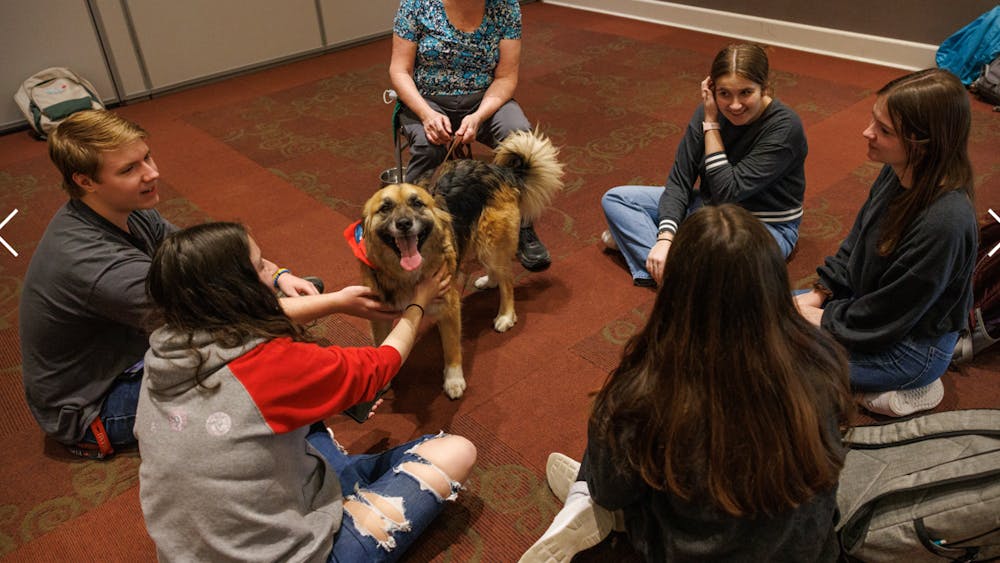 Dog therapy relieves the stress of students and maybe also the dogs, like this one named Luke Skywalker, who gets to enjoy pets.