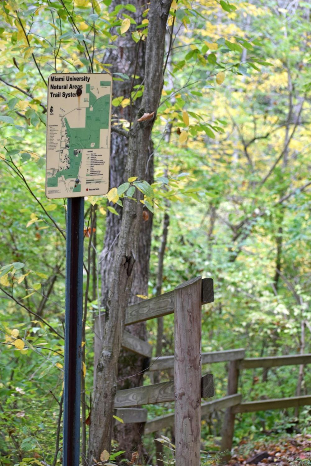 <p>Miami&#x27;s trail systems have lots of different hikes for any skill level.</p>