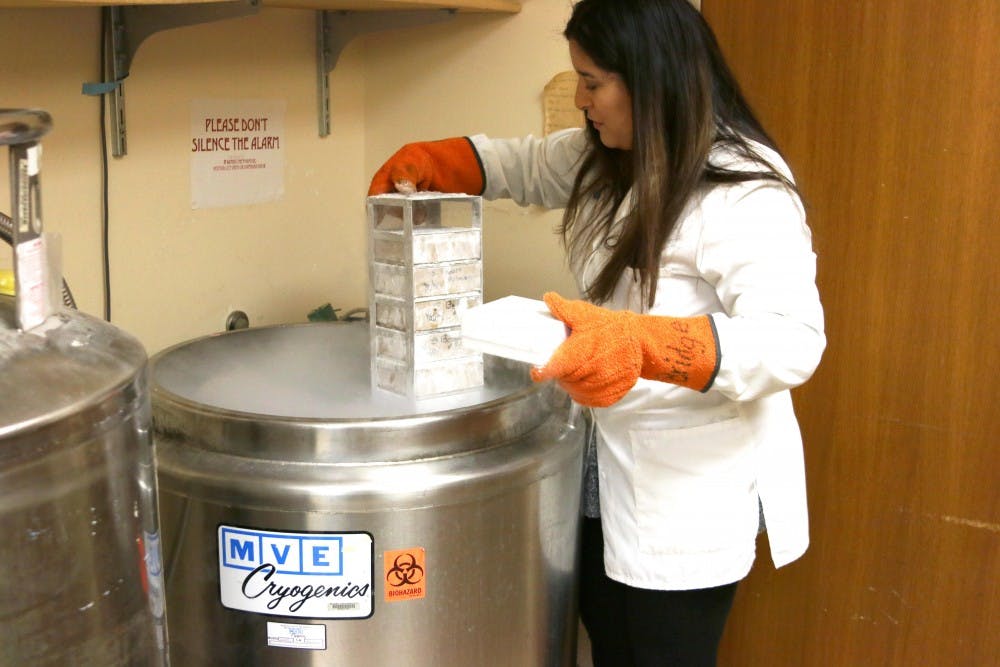 Phd. student Gabrielle Lopez pulls out cell samples for her research from the CO2 incubator.