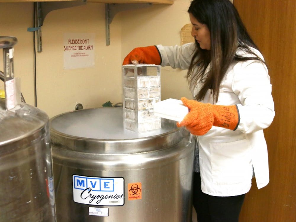 Phd. student Gabrielle Lopez pulls out cell samples for her research from the CO2 incubator.