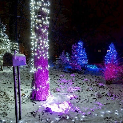 Oxford&#x27;s lights are one of the holiday traditions we will be able to count on this season,