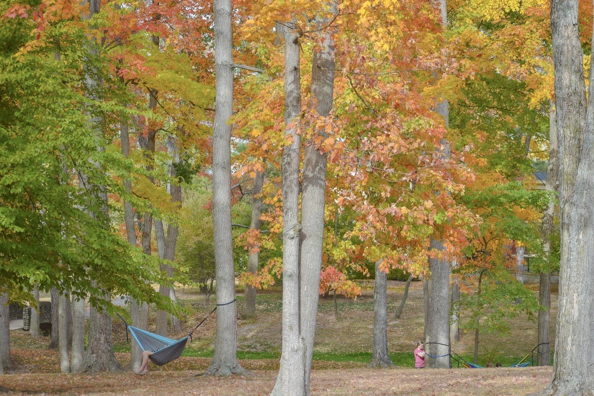 Miami University's hammocking club is making use of spring weather, though their outings are different this year due to the pandemic.