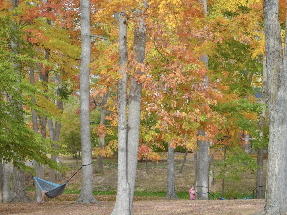 Miami University's hammocking club is making use of spring weather, though their outings are different this year due to the pandemic.